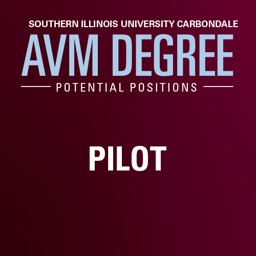 AVM jobs: Aviation Maintenance Manager, Airport Planner, Air Craft Dispatcher, Pilot, Policy Analysis, Airport Operations and Management, Aviation Safety Investigator, Crew Scheduler, Fleet Manager, Traffic Management Coordinator, Quality Assurance Manager, Director of Flight Operations 